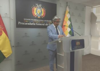 Bolivia denuncia irregularidades en informe de la OEA en 2019