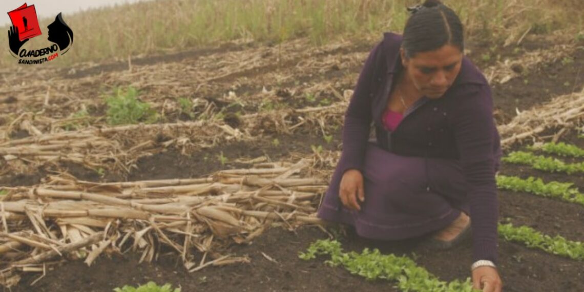 Día Internacional de la Mujer Rural