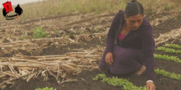 Día Internacional de la Mujer Rural