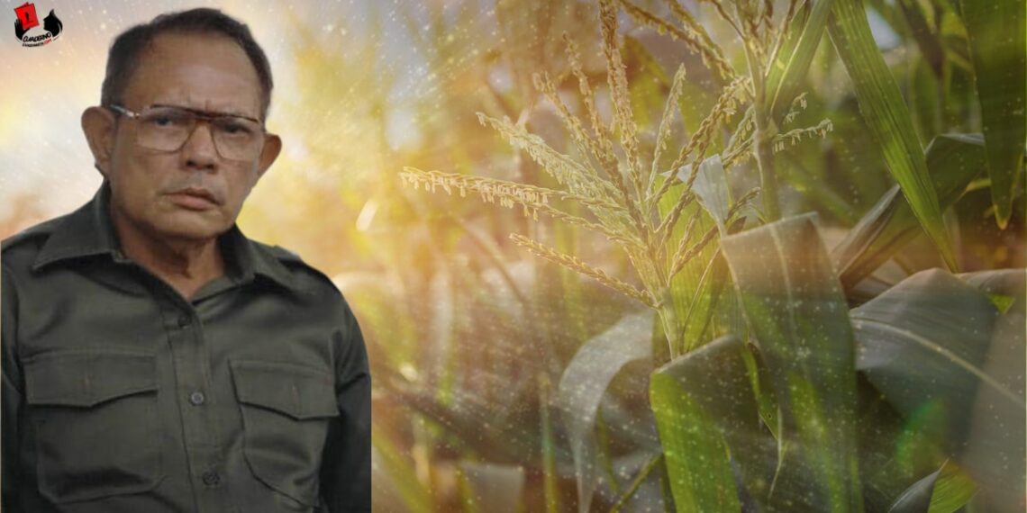 Tomás Borge – Grano de maíz del universo [+Poema]