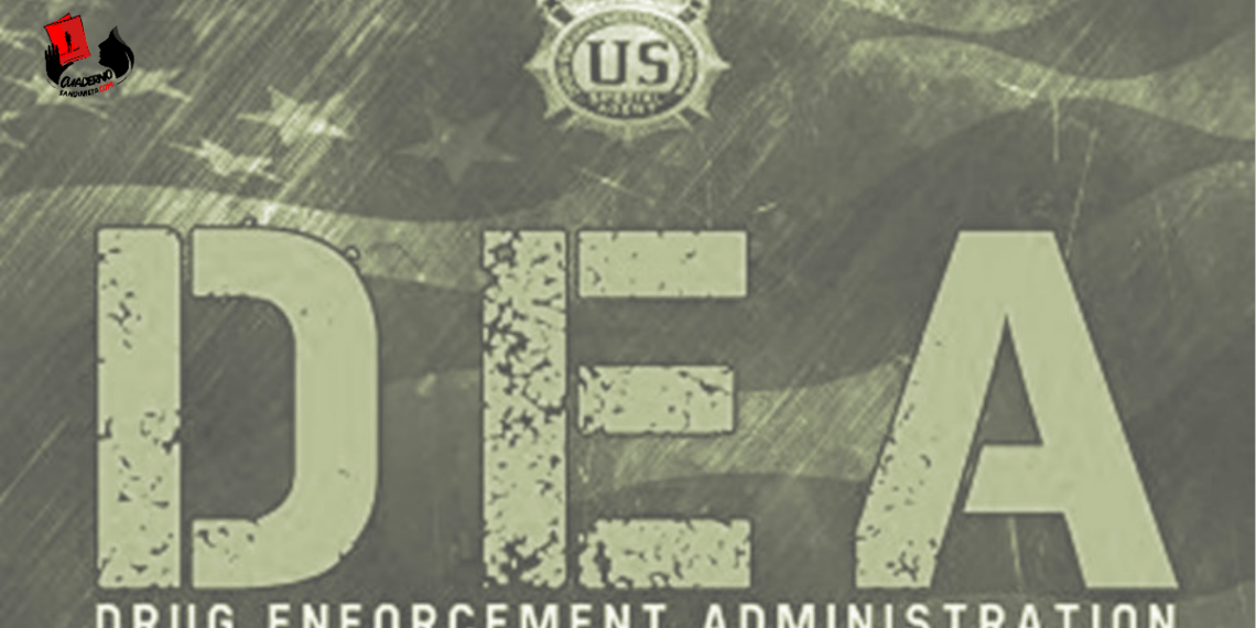 DEA, una historia de escasa efectividad contra el narcotráfico