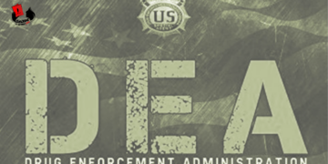DEA, una historia de escasa efectividad contra el narcotráfico