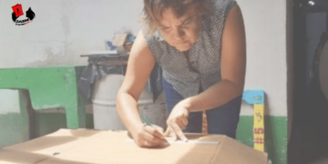 Lenguaje de Revolución