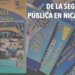 Fortaleza estadística de la seguridad pública en Nicaragua
