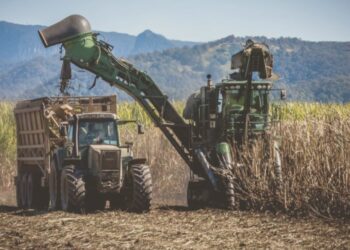 Nicaragua acusa a EE.UU. de violar normas comerciales azucareras