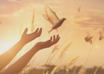 Religión, Fé y Bien Común