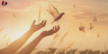 Religión, Fé y Bien Común