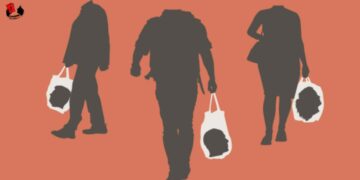 ¿De qué desarrollo hablamos?