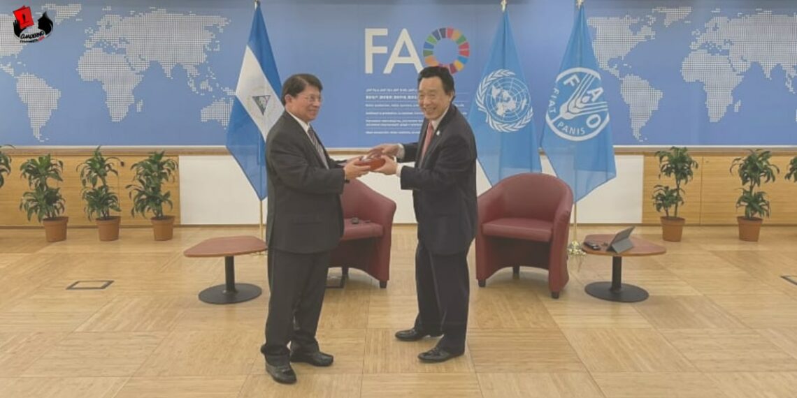 Canciller de Nicaragua sostiene encuentro con Director General de la FAO