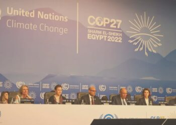 Mensaje de Nicaragua en las Naciones Unidas sobre Cambio Climático