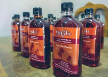 Gifiti, la bebida ancestral reposada en plantas medicinales