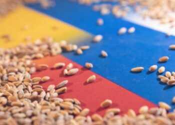 Ucrania, vamos al grano