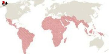 «América Latina y África-Oeste – patrones del neocolonialismo»