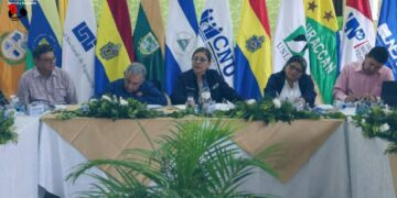 CNU aprueba la creación de la Universidad Nacional Casimiro Sotelo Montenegro