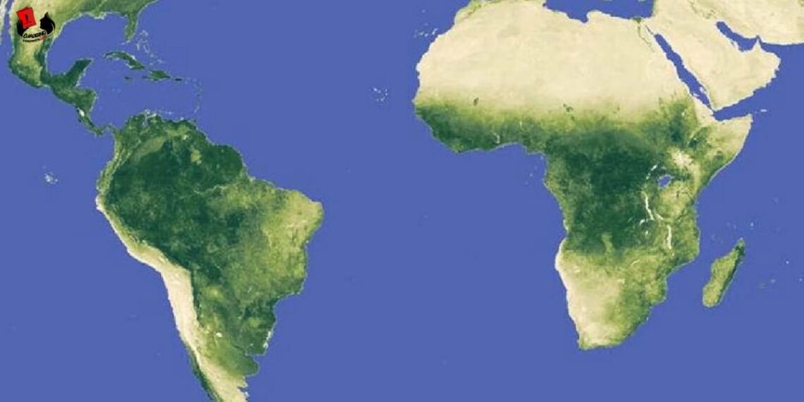 África y América Latina – lazos revolucionarios