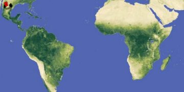 África y América Latina – lazos revolucionarios