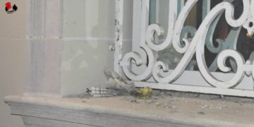 Cámaras de seguridad captaron el momento del ataque terrorista contra la embajada de Cuba en EEUU (+ Video)