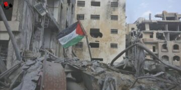 Asciende a 788 cifra de muertos por ataques israelíes contra Gaza