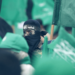 “Hamás no es una organización terrorista”