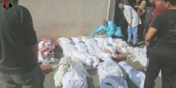 Llega a 8796 el número de muertos en ataques israelíes a Gaza