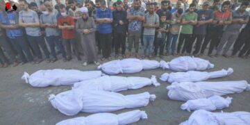 Se eleva a 10818 cifra de palestinos asesinados por Israel en Gaza