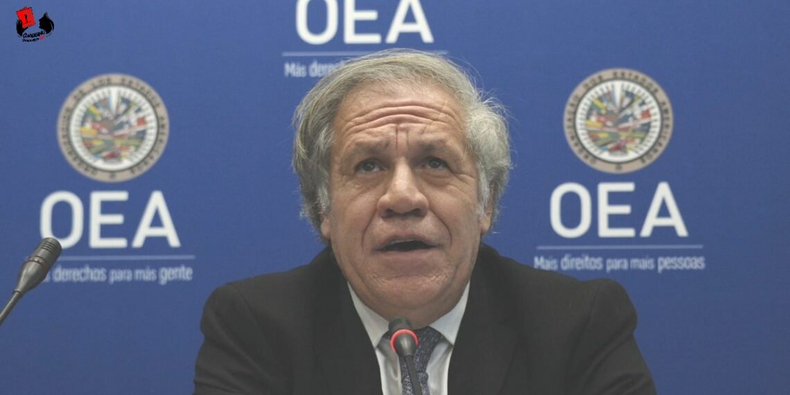 La OEA: cosa tan fea