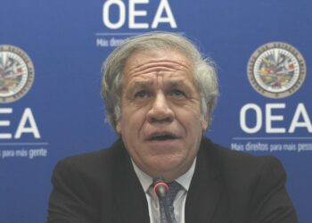 La OEA: cosa tan fea
