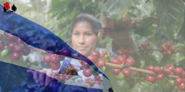 CISA quiebra en varios países y en Nicaragua el Gobierno responde