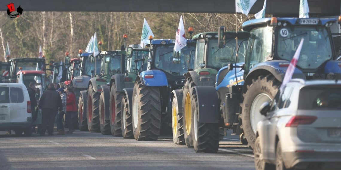 La Unión Europea contra los Campesinos