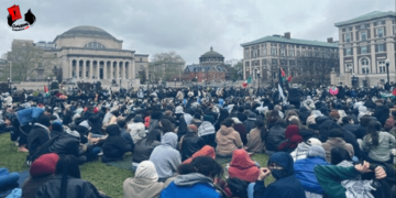Aumentan protestas en universidades de EE.UU. a favor Gaza