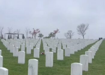 Cuerpos de mercenarios Estadounidenses eliminados en Ucrania se acumulan en cementerios de EE.UU.