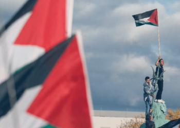 Por Paz en Palestina y la Región