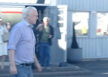 WikiLeaks confirma liberación de Julian Assange