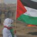 A Palestina en fiero amor