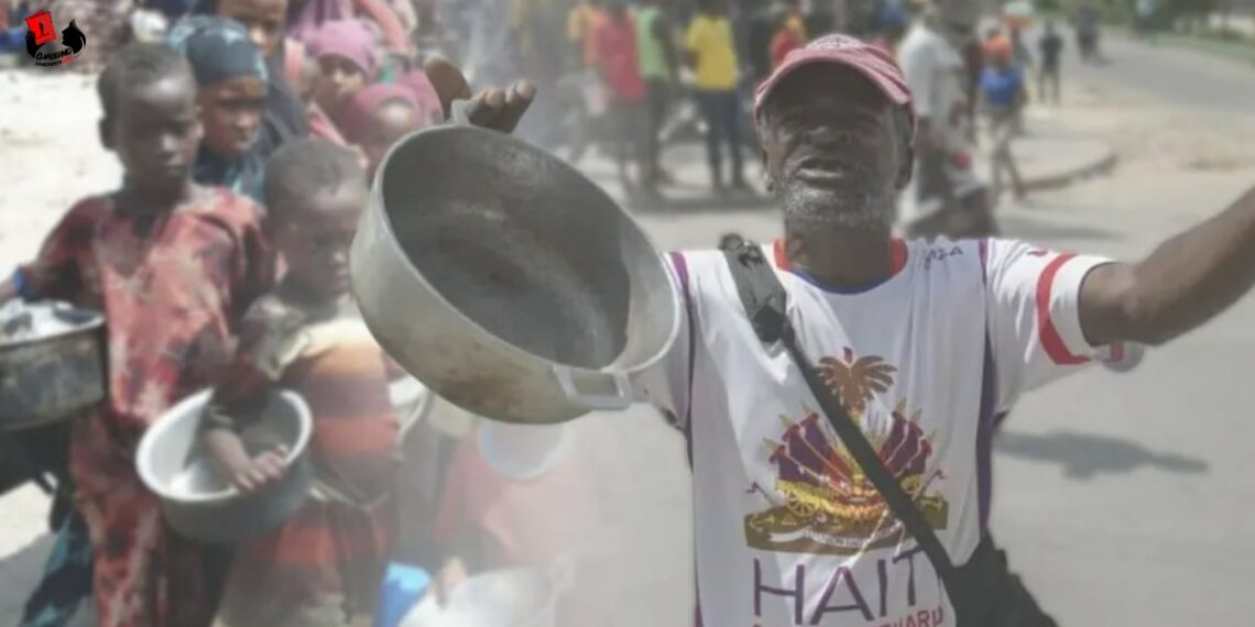 Más de cinco millones de personas sufren por la crisis de hambruna en Haití