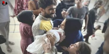 Masacres en Gaza: 43.341 palestinos han sido asesinados por la ocupación israelí