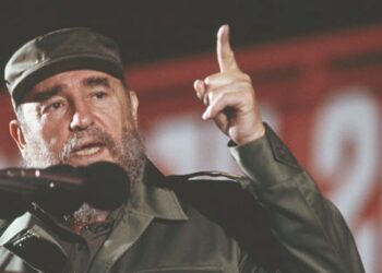 Sobre una roca de tiempo vivo