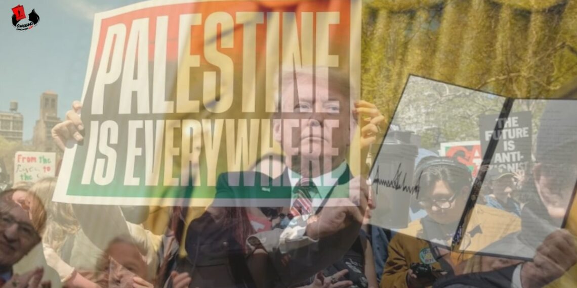 Trump ordena castigar a estudiantes e instituciones propalestinos