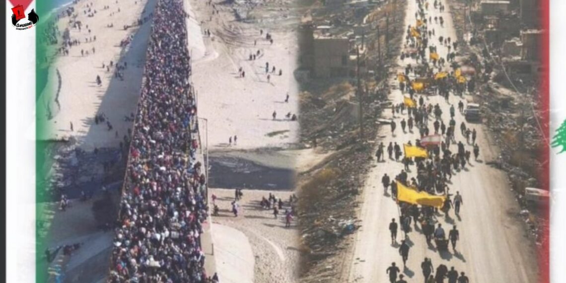 Regreso triunfante a casa: La resistencia prevalece en Gaza y el sur del Líbano