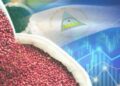 Nicaragua y las claves de su soberanía alimentaria en tiempos de crisis global