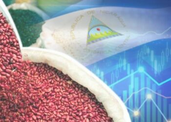 Nicaragua y las claves de su soberanía alimentaria en tiempos de crisis global