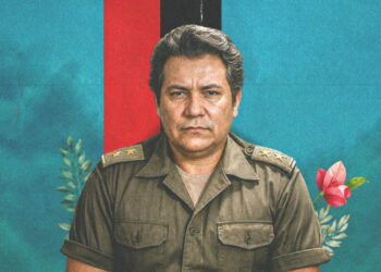 El Zorro y la fuerza de la organización