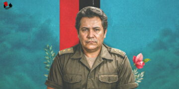El Zorro y la fuerza de la organización